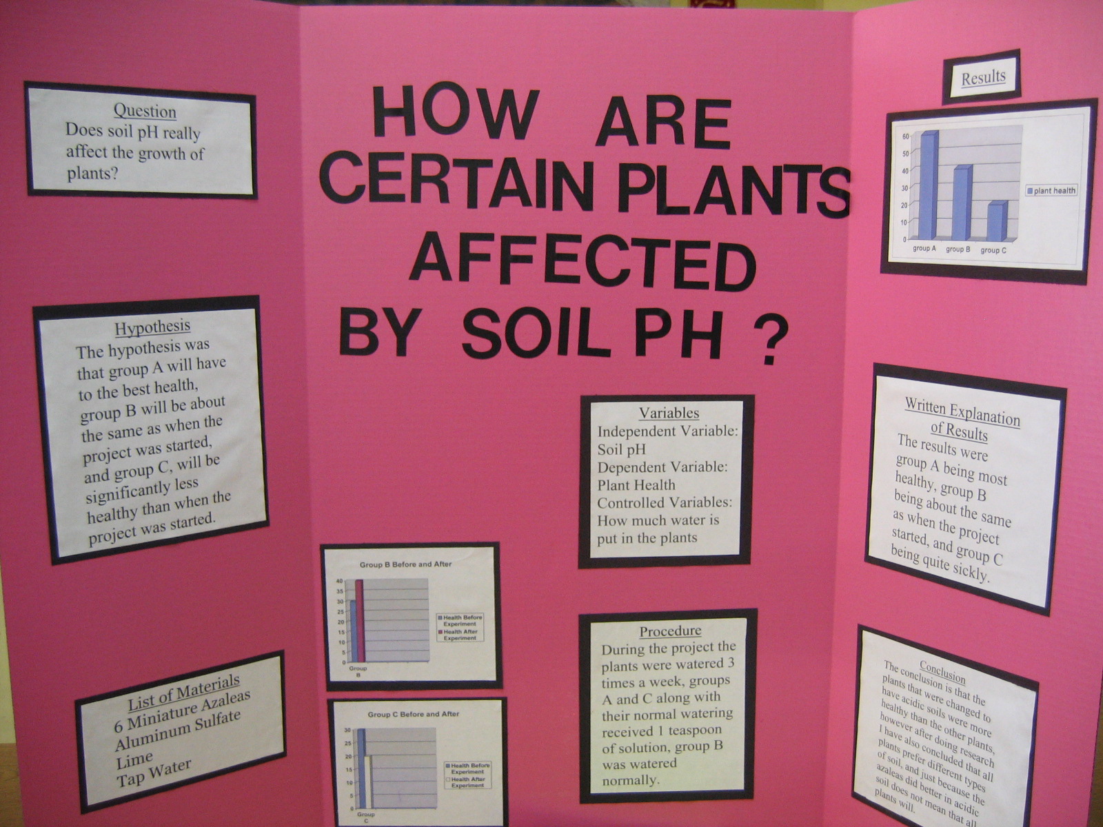 Science fair experiment research paper