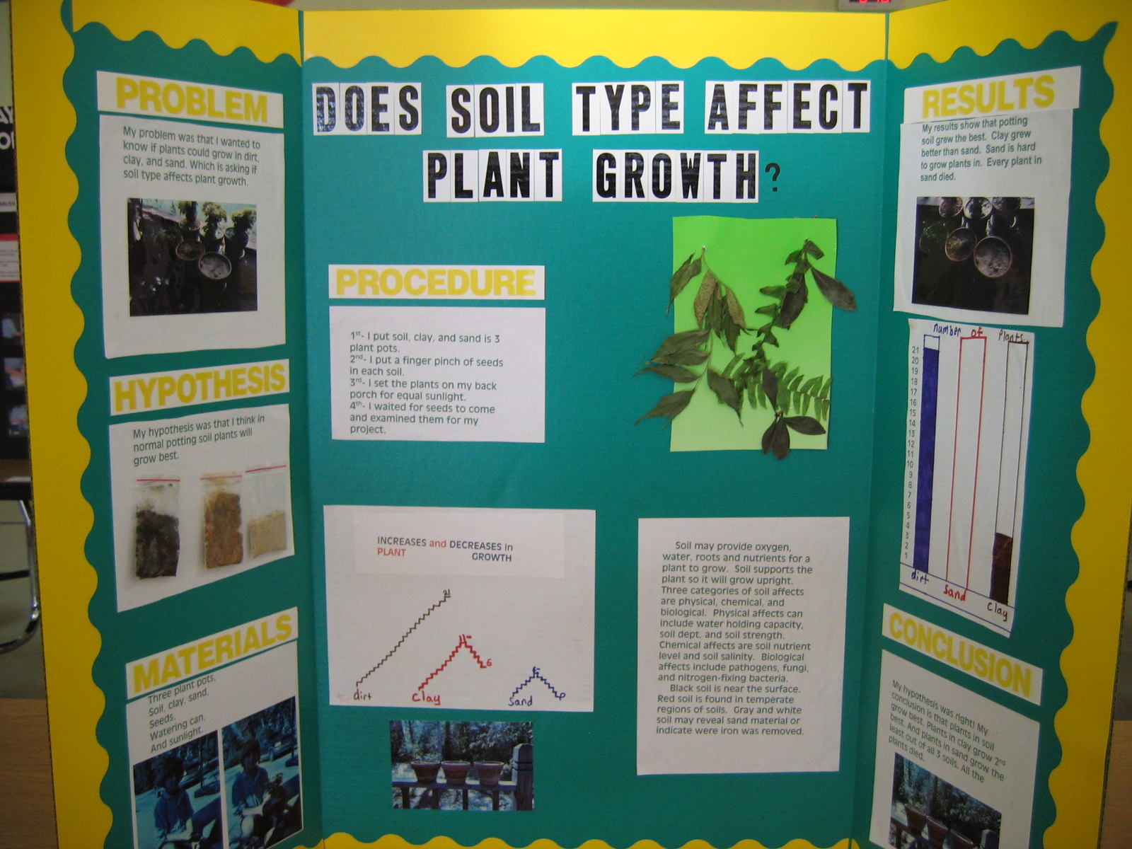 science fair project