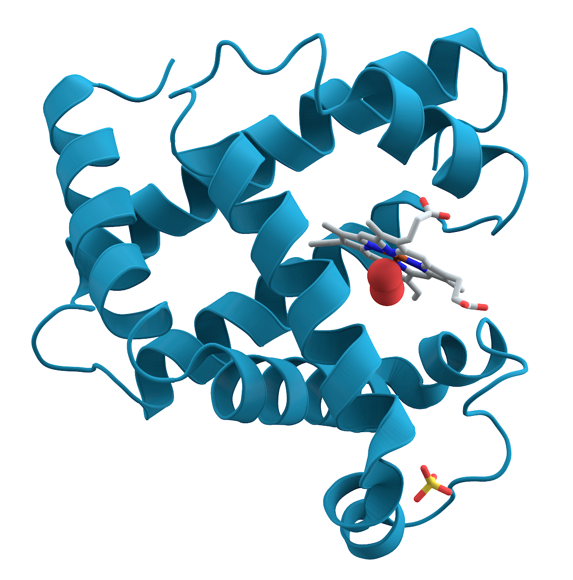 introduction-to-proteins